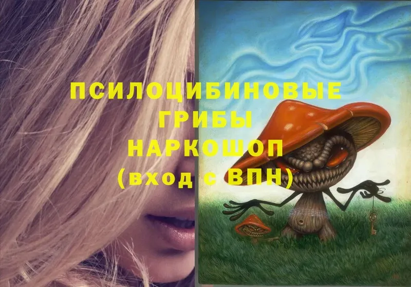 Галлюциногенные грибы Magic Shrooms  даркнет сайт  Руза 